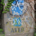 MI Detroit AVID