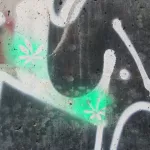 MI Detroit flowers