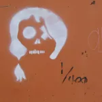 MN skull with hair