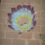 MN Saint Paul Flower