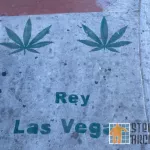 NV Las Vegas Pot Leafs