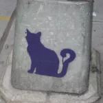 NJ favorite cat ph Nicole