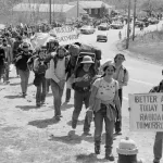 NH 1977 Seabrook Antinuclear Protest