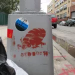 NYC Bushwick bedbugs
