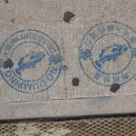 NYC Chinatown No Dumping