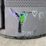 NYC DLOVE bird ph J Rojo for BSA