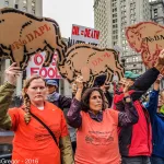 NYC NoDAPL N15 Protest