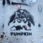 NYC Pumkin ph J Rojo for BSA
