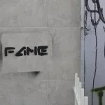 NYC Brooklyn FAME