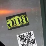 NYC Bug Sticker