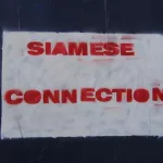 NYC Chelsea Siamese Connection