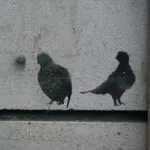 NYC East Village Birds
