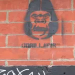 NYC bkln Gorillafis