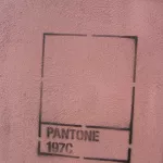 NYC bkln Pantone197C