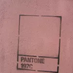 NYC Brooklyn Pantone 197C