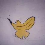 NYC dove