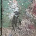 NC Asheville penguin