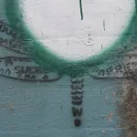NC Asheville Dragonfly