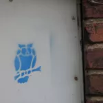 NC Asheville Owl