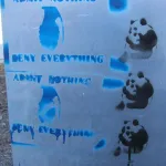 NC Asheville Panda Bear