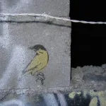 NC Asheville bird 02