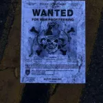 Occupy Oakland in media wanted flyer