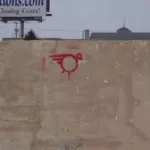 OK Oklahoma City bird