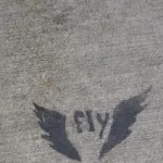 OR Portland fly