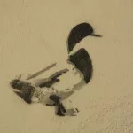 OR Portland SE Duck