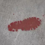 OR Portland Boot Print