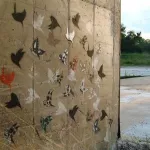 SC Greenville Birds