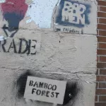 SC Greenville Radio Room Bamboo Forest