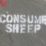 SC Charleston Consume Sheep