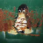 TN Knoxville Linux