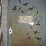 TN Knoxville birds