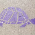 UT Salt Lake City Turtle EHole