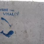 VT Montpelier Nuke Whales