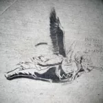WA Seattle flying monkey