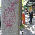 WA Bellingham Owl