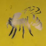 WI Madison Bee