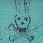 WI Madison Bunny crossbones