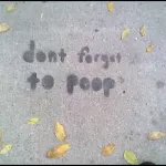 WI Madison Don't Forget to Poop