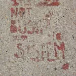WI Madison Its Not Bush Its the System
