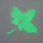 WI Madison leaf