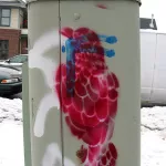WI Madison Parrot