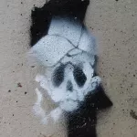 WI Madison Skull