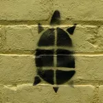 WI_Madison_Turtle