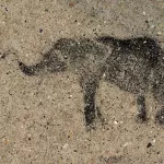WI Madison elephant