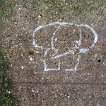 WI Madison elephant 02