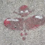 WI Madison broken skateboard